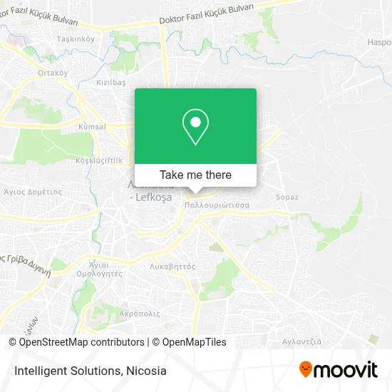 Intelligent Solutions map