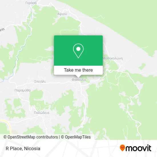 R Place map