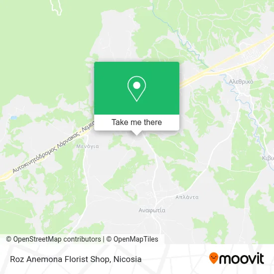 Roz Anemona Florist Shop map