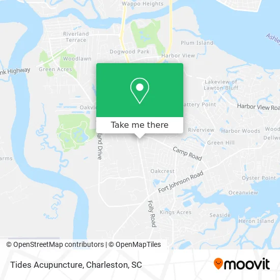 Tides Acupuncture map