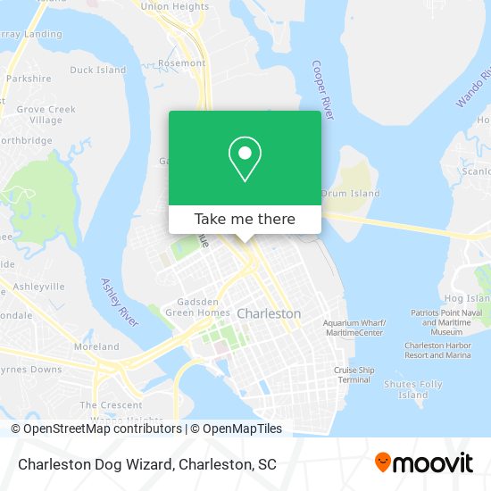 Charleston Dog Wizard map