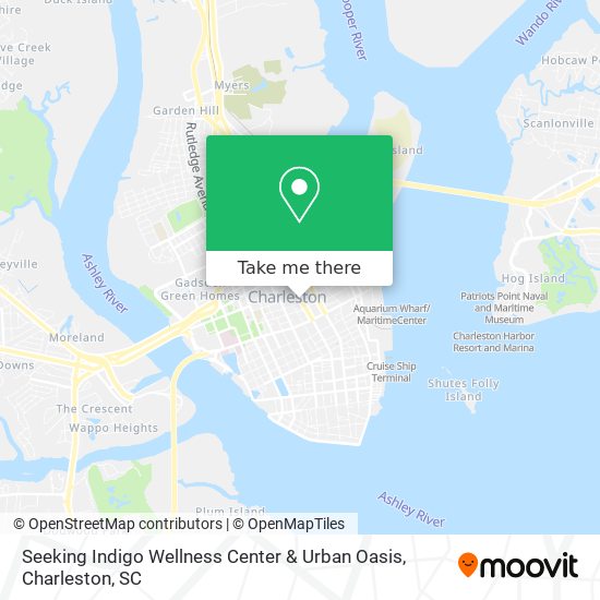 Seeking Indigo Wellness Center & Urban Oasis map