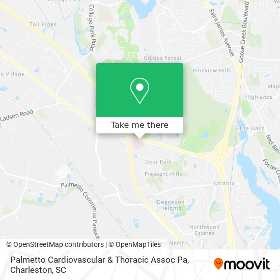 Palmetto Cardiovascular & Thoracic Assoc Pa map