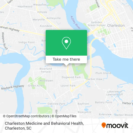 Charleston Medicine and Behavioral Health map