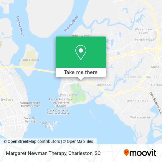 Mapa de Margaret Newman Therapy