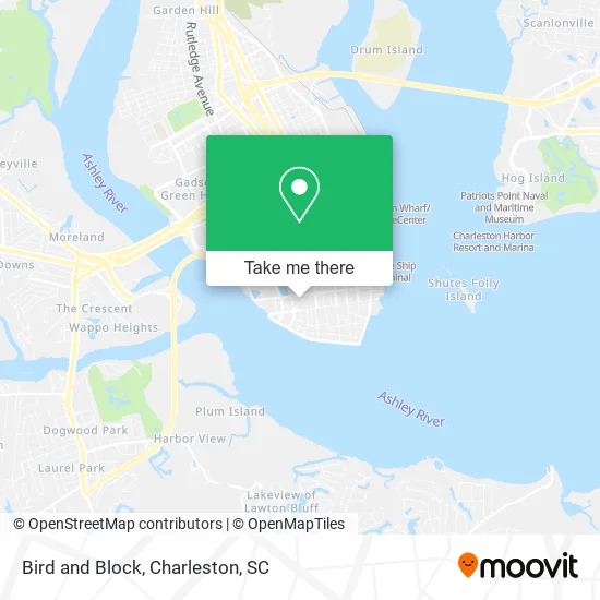 Bird and Block map