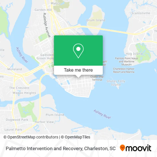 Palmetto Intervention and Recovery map