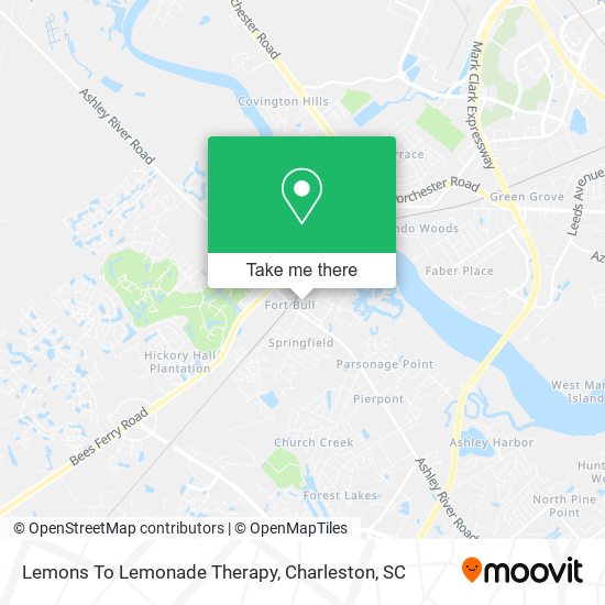 Lemons To Lemonade Therapy map