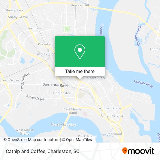 Catnip and Coffee map