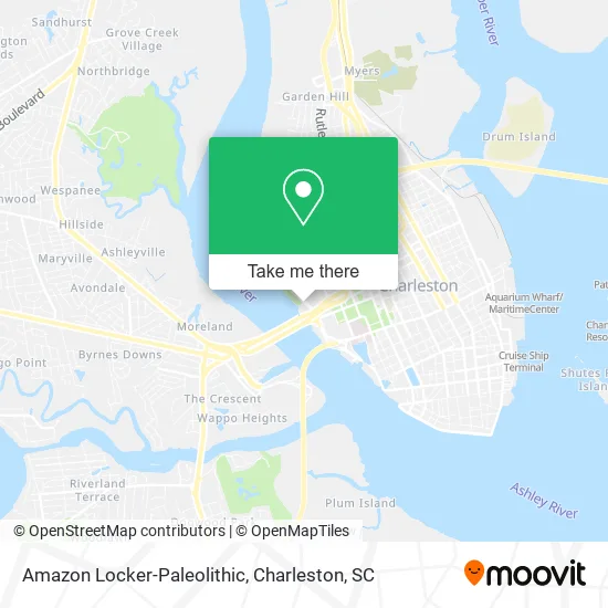 Amazon Locker-Paleolithic map