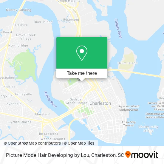 Picture Mode Hair Developing by Lou map