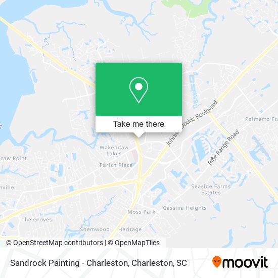 Sandrock Painting - Charleston map