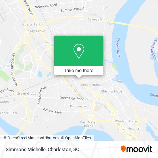 Simmons Michelle map