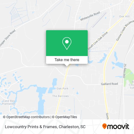Mapa de Lowcountry Prints & Frames
