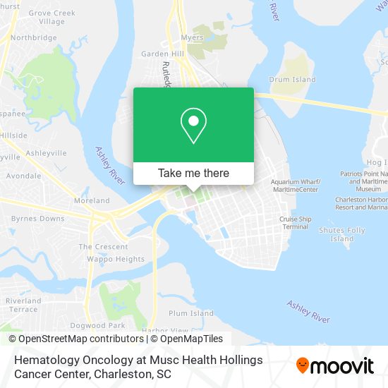 Hematology Oncology at Musc Health Hollings Cancer Center map