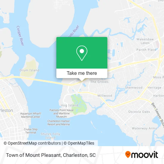 Town of Mount Pleasant map