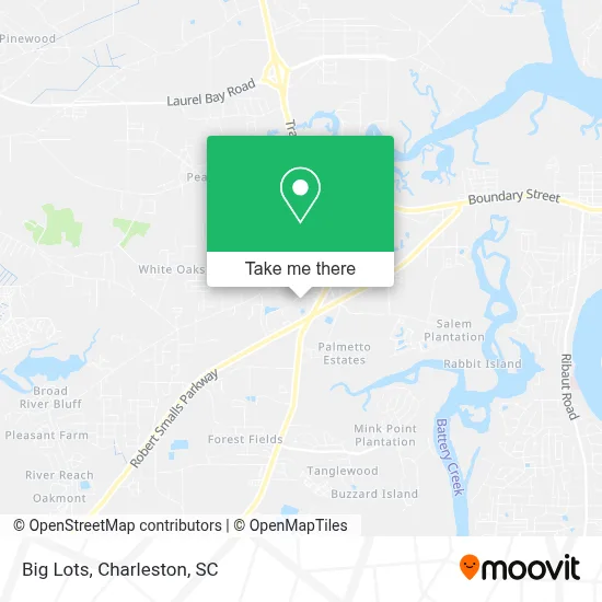 Big Lots map