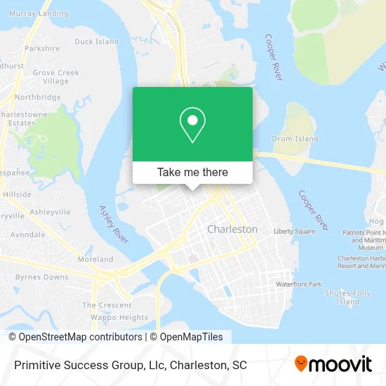 Primitive Success Group, Llc map