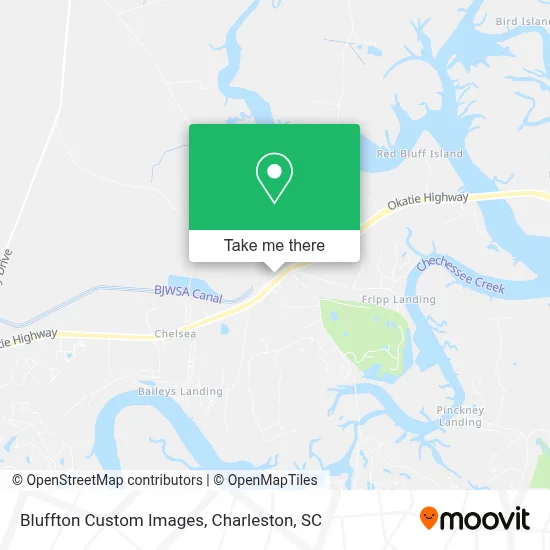 Bluffton Custom Images map