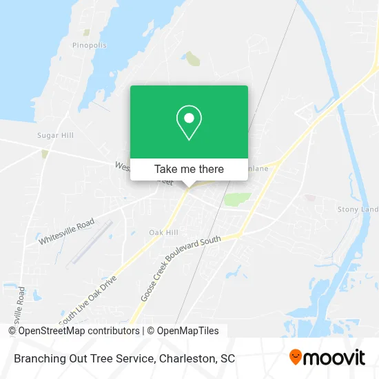 Branching Out Tree Service map