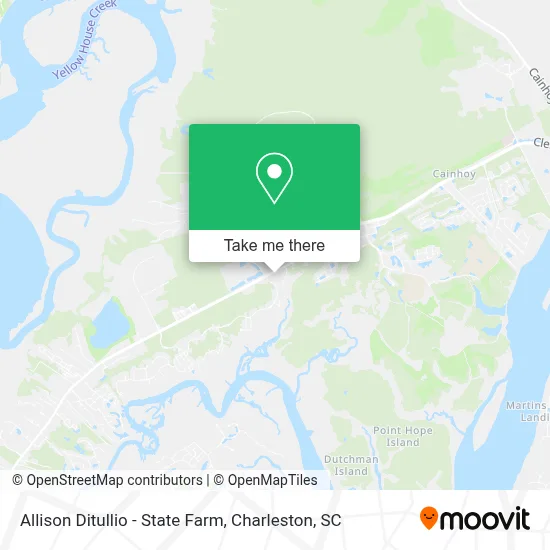 Allison Ditullio - State Farm map