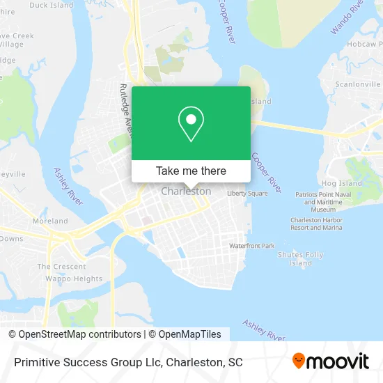 Primitive Success Group Llc map