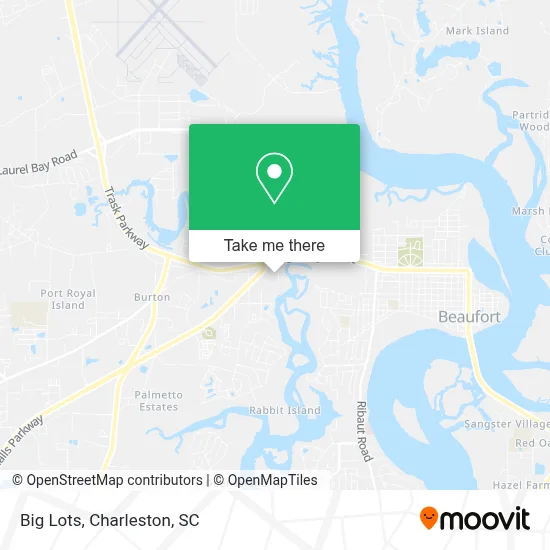 Big Lots map