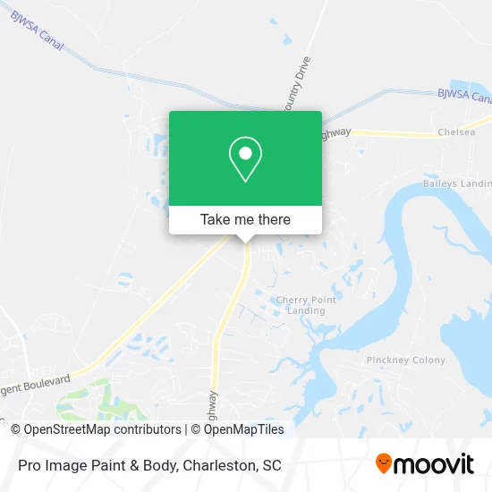 Pro Image Paint & Body map