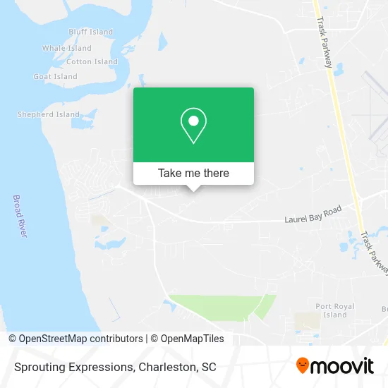 Sprouting Expressions map