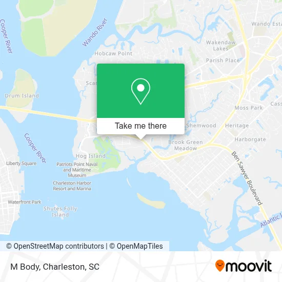 M Body map