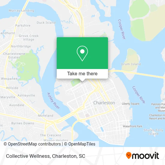 Collective Wellness map