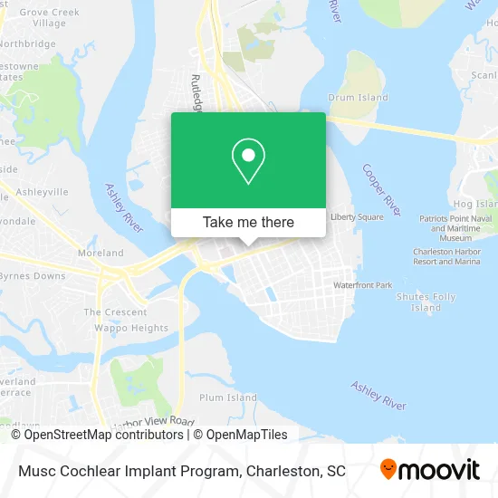 Musc Cochlear Implant Program map