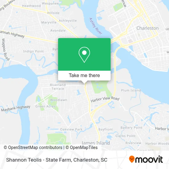 Shannon Teolis - State Farm map