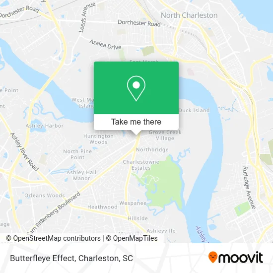 Butterfleye Effect map