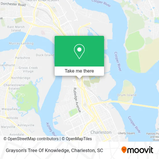 Grayson's Tree Of Knowledge map