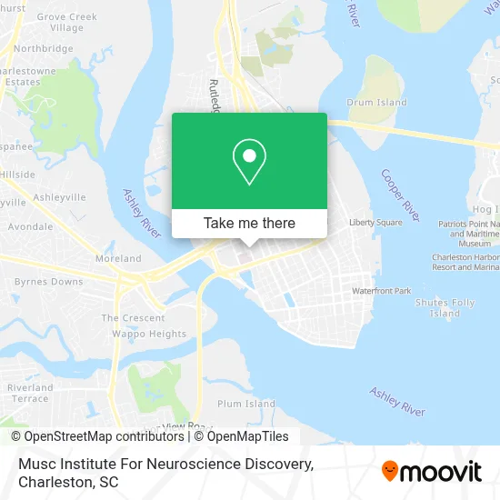 Musc Institute For Neuroscience Discovery map