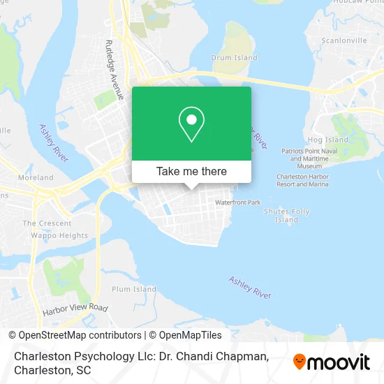 Charleston Psychology Llc: Dr. Chandi Chapman map