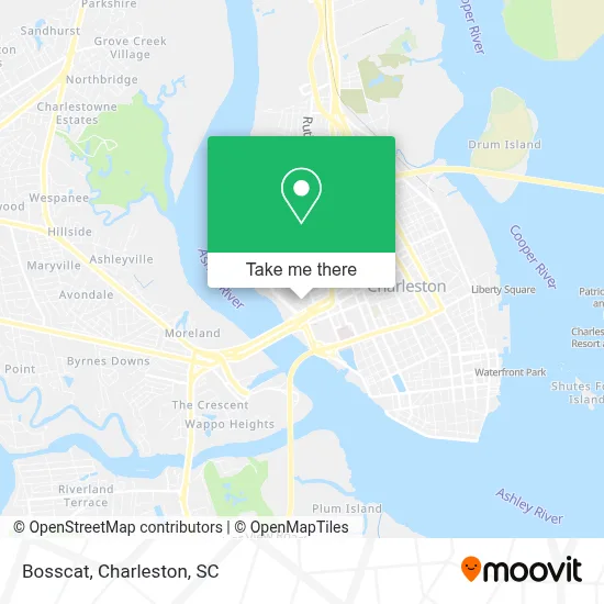 Bosscat map
