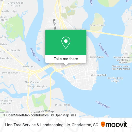 Lion Tree Service & Landscaping Llc map