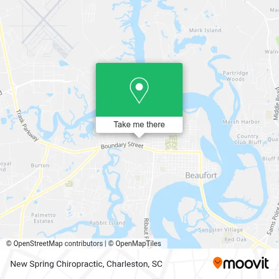 New Spring Chiropractic map