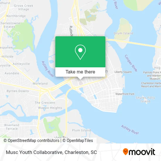Musc Youth Collaborative map