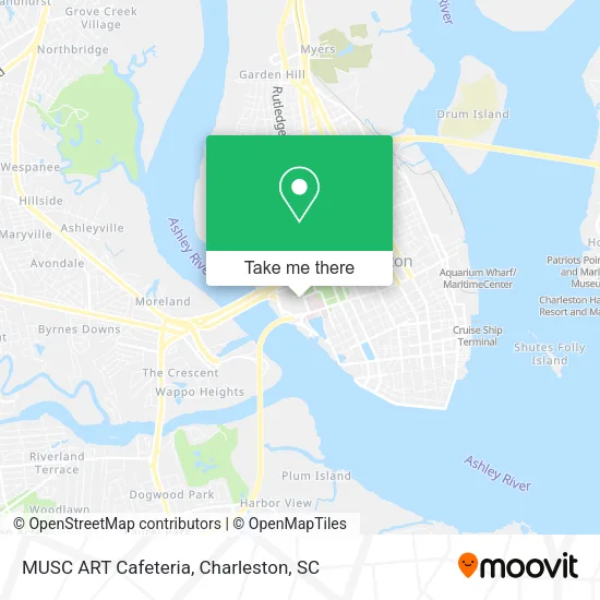 MUSC ART Cafeteria map