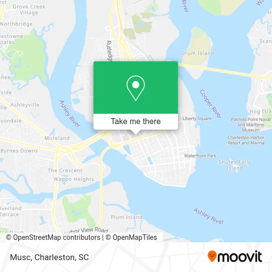Musc map