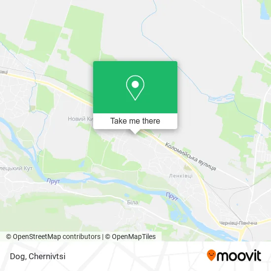 Карта Dog
