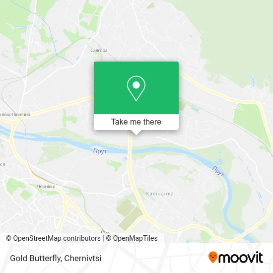 Gold Butterfly map