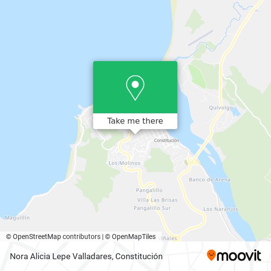 Nora Alicia Lepe Valladares map