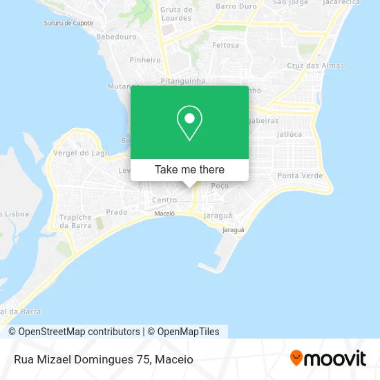 Rua Mizael Domingues 75 map