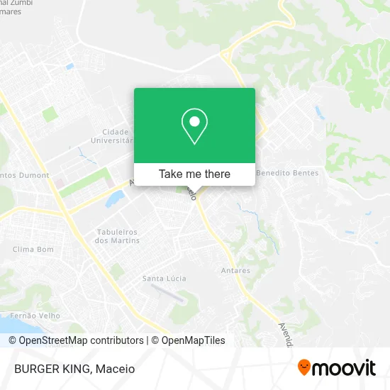 BURGER KING map
