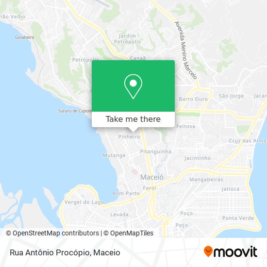 Rua Antônio Procópio map