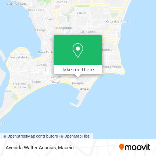 Mapa Avenida Walter Ananias